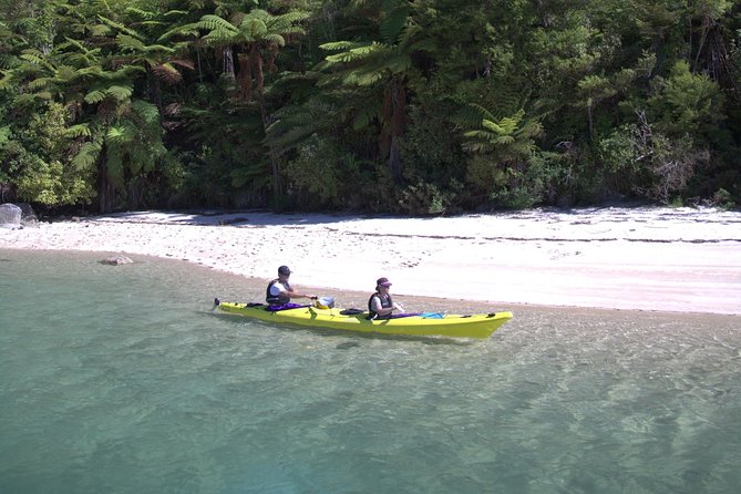 1 Day Freedom Rental - Choosing a route along the Abel Tasman coast