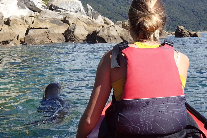 1 Day Sea Kayak Rental - Weather can change the whole plan