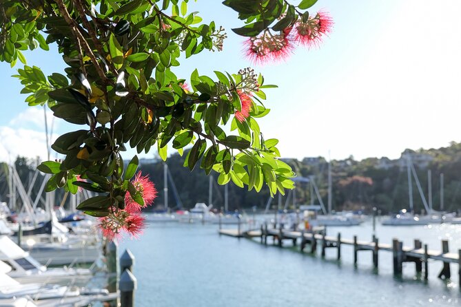 1 Hour Scenic Bay of Islands Tour - Starting at Waitangi Wharf