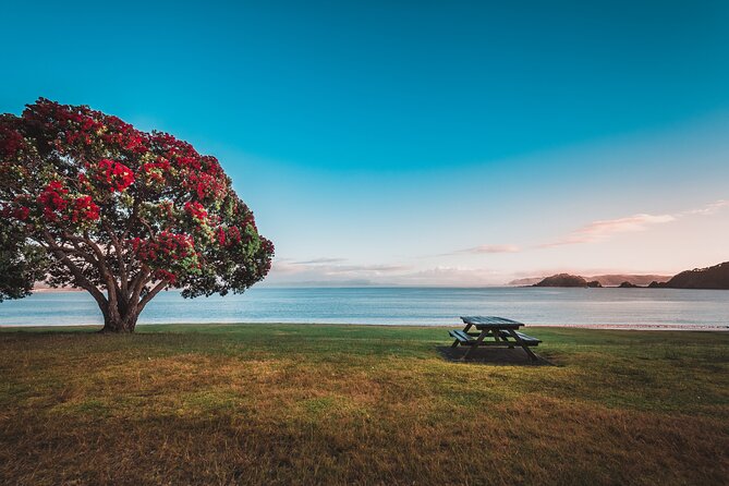 1 Hour Scenic Bay of Islands Tour - Paihia, the Bay of Islands base