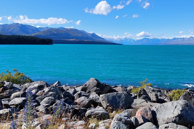 12 Day New Zealand Private Tour from Auckland to Queenstown - The Northern Explorer turns a transfer into an attraction