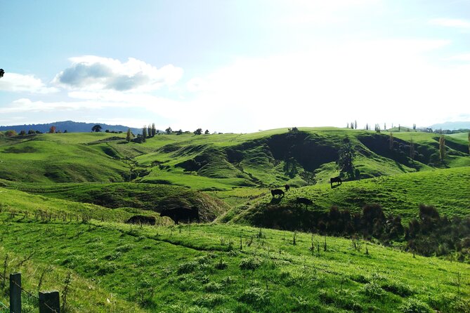 12 Day New Zealand Private Tour from Auckland to Queenstown - Queenstown mixes gentle walks with high-energy options