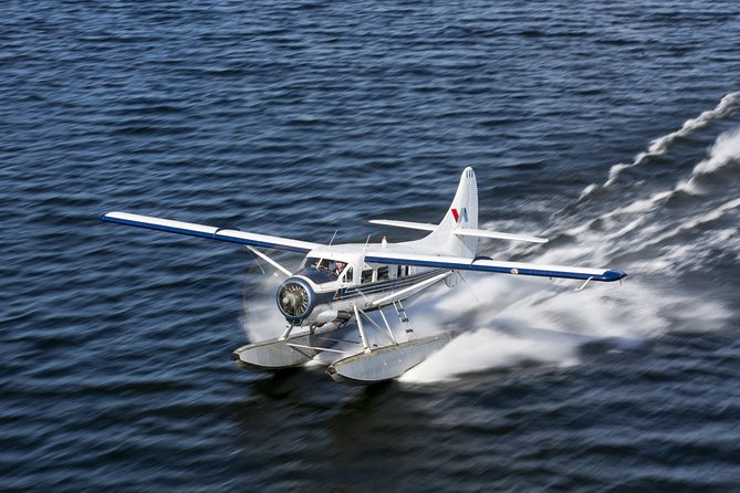 15-Minute Crater Lakes Flight by Floatplane from Rotorua - A 15-minute route with plenty to see