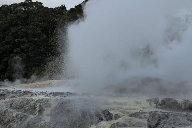 2-Day Hobbiton, Rotorua, Waitomo Caves Tour from Auckland with Accommodation - Waitomo Glowworm Caves: the short, atmospheric finale