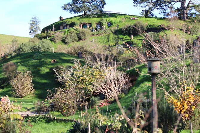 2-Day Hobbiton, Rotorua, Waitomo Caves Tour from Auckland with Accommodation - Te Puia brings together geysers and Māori arts