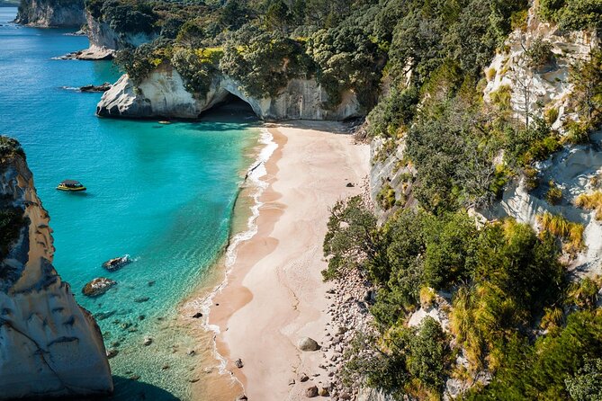 2 Hour Cathedral Cove and Volcanic Coast Cruise with Shade Canopy - Cathedral Cove from the marine reserve