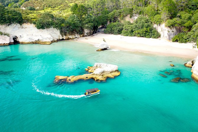 2 Hour Cathedral Cove and Volcanic Coast Cruise with Shade Canopy - Hahei Beach and the offshore islands