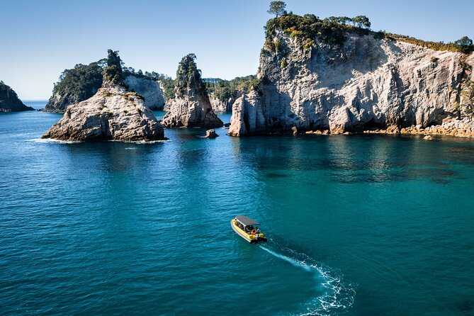 2 Hour Cathedral Cove and Volcanic Coast Cruise with Shade Canopy - What the guides add to the ride