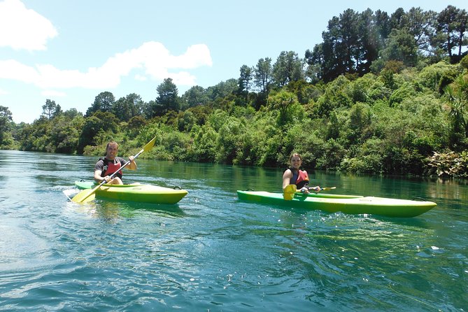 2-Hour Waikato River Guided Kayak Trip from Taupo - Starting at Canoe and Kayak Taupo on Spa Road
