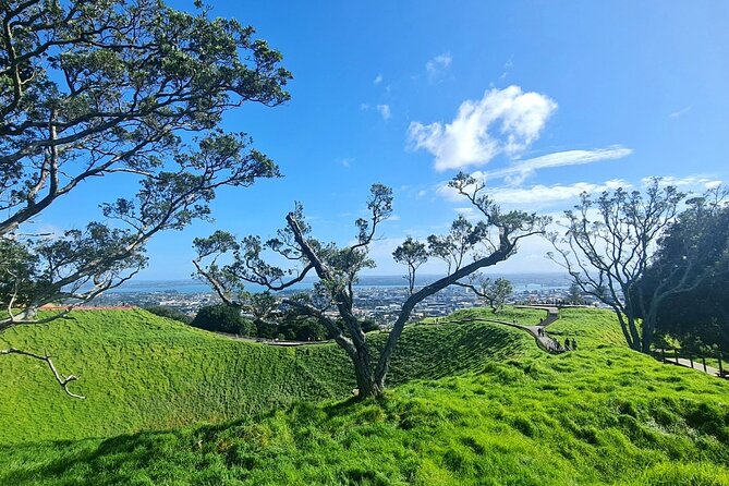 2025 Award Winning: Auckland City Highlights Half Day Tour - Mount Eden: Auckland from the highest volcanic cone