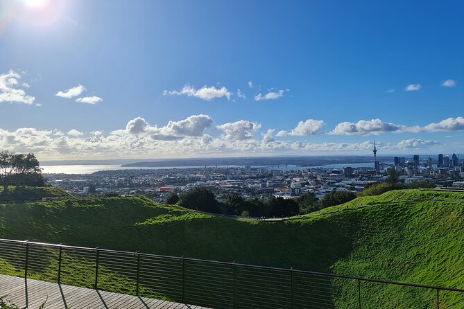 2025 Award Winning: Auckland City Highlights Half Day Tour - Wintergardens in the Auckland Domain