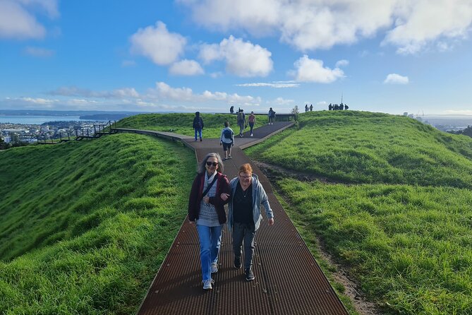 2025 Award Winning: Auckland City Highlights Half Day Tour - Auckland Harbour Bridge: a quick look at the city’s main link