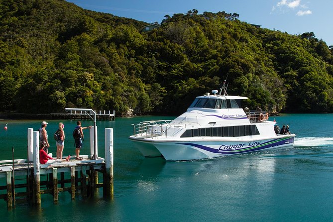 3.5 Hour Marlborough Sounds Delivery Cruise - Commentary and the human side of the Sounds