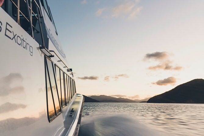 3.5 Hour Marlborough Sounds Delivery Cruise - The upper deck, weather, and comfort