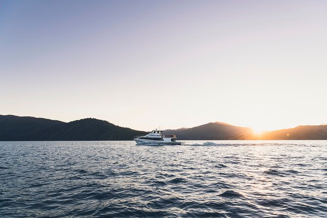 3.5 Hour Marlborough Sounds Delivery Cruise - Is $68.26 a fair price?
