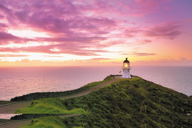 3 Day Bay Of Islands Tour from Auckland including Waitangi and Cape Reinga - What this three-day Northland trip really offers