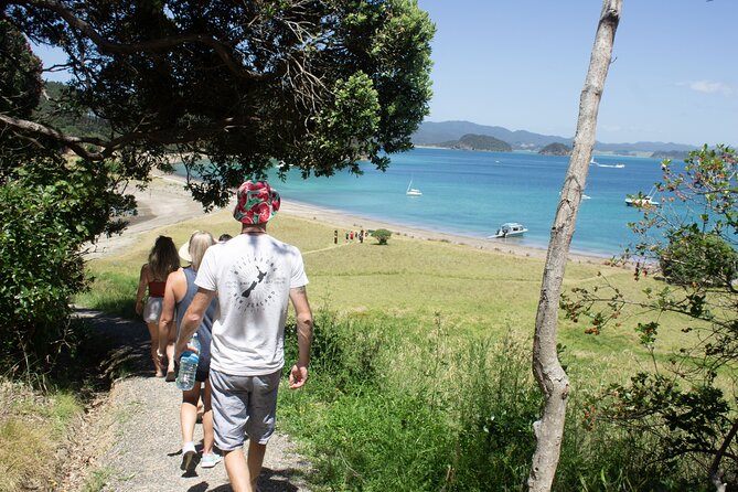 3 Hours // Hole in the Rock Cruise & Bay of Islands Tour - What the $89.98 price gets you