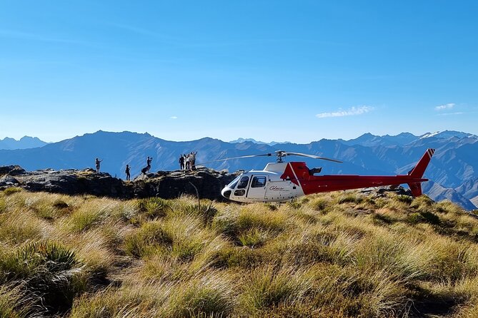 30-Minute Alpine Scenic Flight from Queenstown - What this Queenstown helicopter flight actually delivers