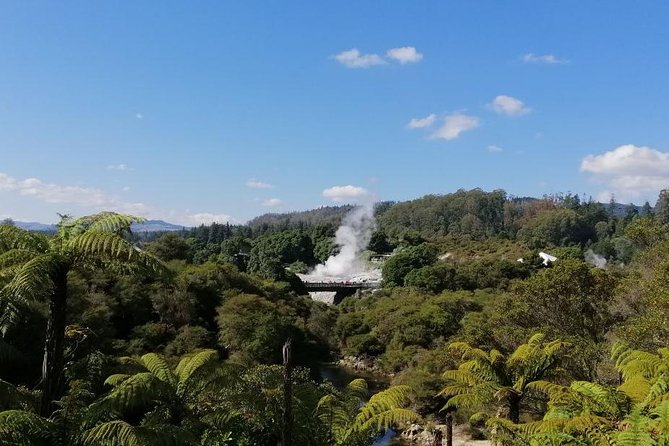 4-Day Auckland to Wellington via Rotorua Tour - What this four-day North Island route really gives you