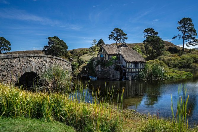 4-Day Auckland to Wellington via Rotorua Tour - Rotorua’s geothermal ground and Maori culture
