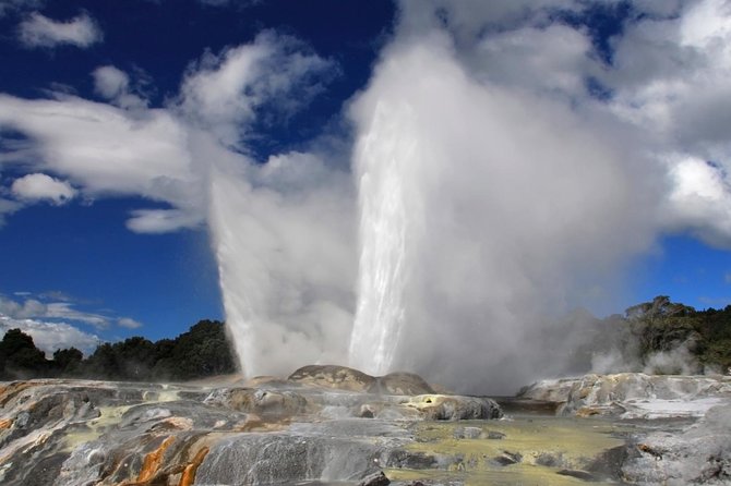 4-Day Auckland to Wellington via Rotorua Tour - Who should book this tour?
