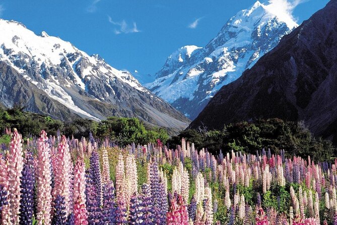 4-Day Great Southern Island Circle Tour from Christchurch - A four-day route built around big scenery