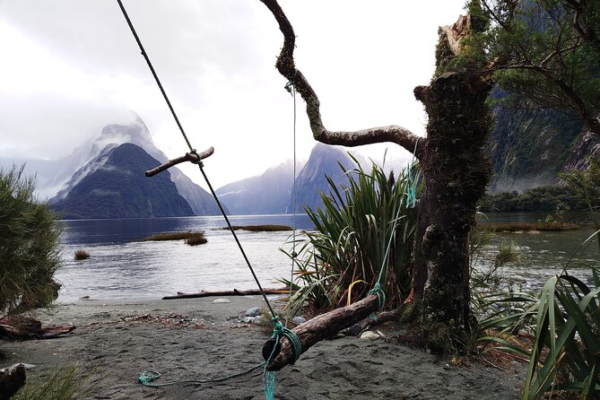 4 Day Tour to Milford Sound, Mount Cook & More from Auckland - What the $2,637.44 price means