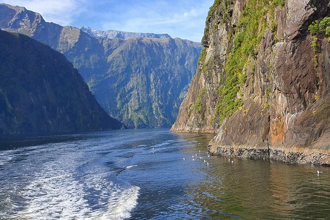 4 Day Tour to Milford Sound, Mount Cook & More from Christchurch - What the Private Format Adds