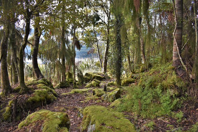 4-hour Lake Mapourika Kayak and Hike adventure, with Okarito Kiwi Sanctuary - Guides make the difference