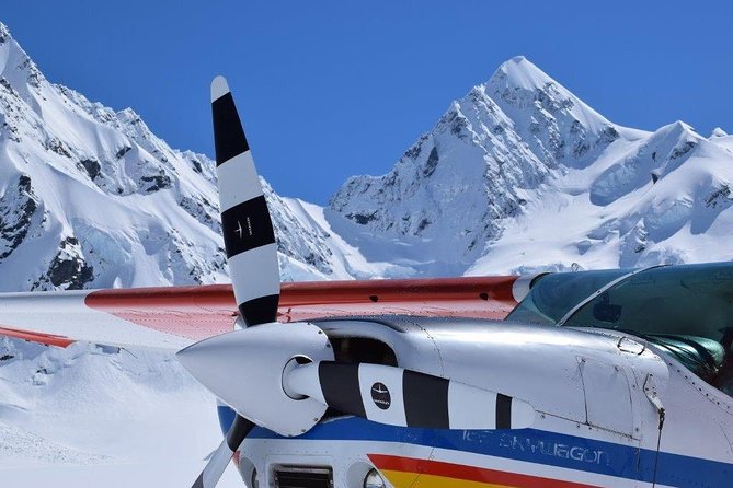 45-Minute Glacier Highlights Ski Plane Tour from Mount Cook - What the nine-seat ski plane feels like