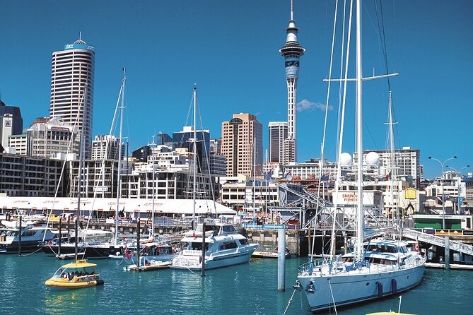 5-Day Bay of Islands, Auckland, Hobbiton, Rotorua & Waitomo Tour - Day 4: Glowworms, geothermal activity, and Māori culture