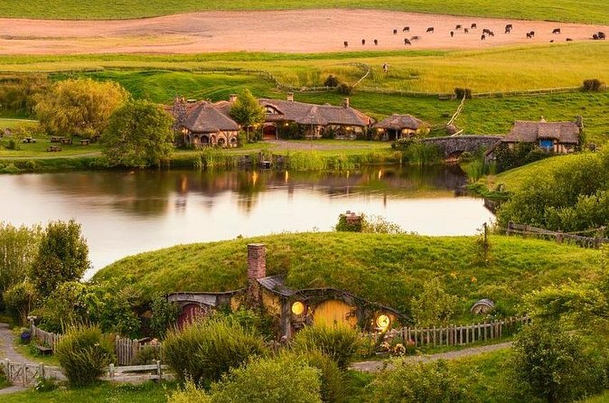 5-Day Bay of Islands Rotorua Waitomo Caves and Hobbiton Tour from Auckland - Accommodation, meals, and daily comfort