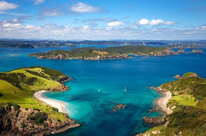 5-Day Bay of Islands Rotorua Waitomo Caves and Hobbiton Tour from Auckland - The transport question: organized, but not escorted