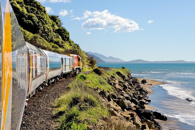 5-Day New Zealand North and South Island Highlights Tour - Day 5: Whale watching and the road to Christchurch