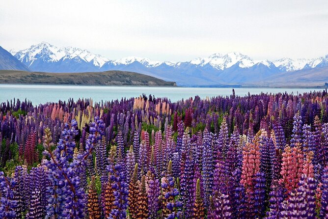 5-Day South Island Tour from Christchurch - Why this route works in only five days