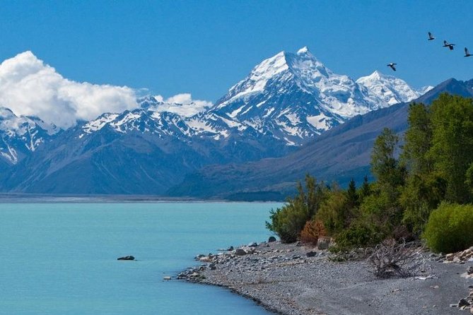 5-Day South Island Tour from Christchurch - What the transport arrangement is really like