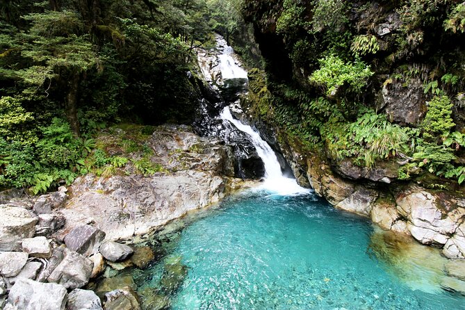 5 Day South Island Tour from Queenstown including Stewart Island - Day 3: Stewart Island by ferry, boat, and flight
