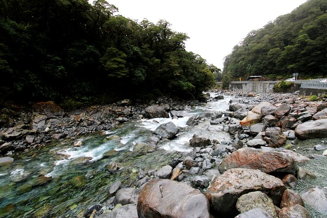 5 Day South Island Tour from Queenstown including Stewart Island - How the private format affects the trip