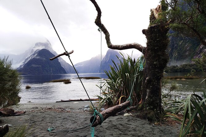 5 Day South Island Tour from Queenstown including Stewart Island - Accommodation, meals, and the real cost