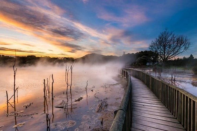 6.5 hour Small-Group Rotorua Naturally Shore Excursion - Tauranga - Key points to know before you book