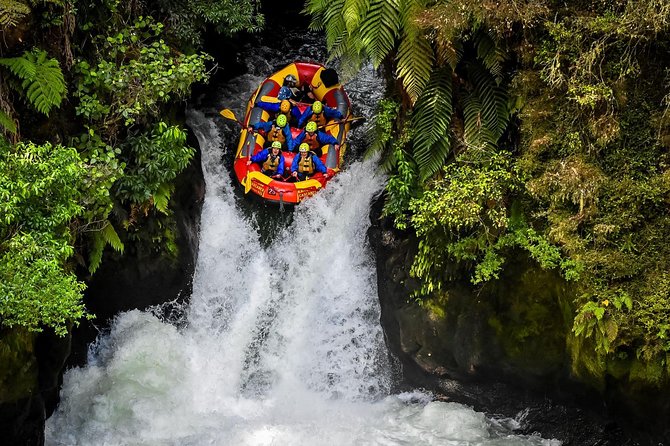 6.5 hour Small-Group Rotorua Naturally Shore Excursion - Tauranga - Redwoods Whakarewarewa Forest: the day’s main event