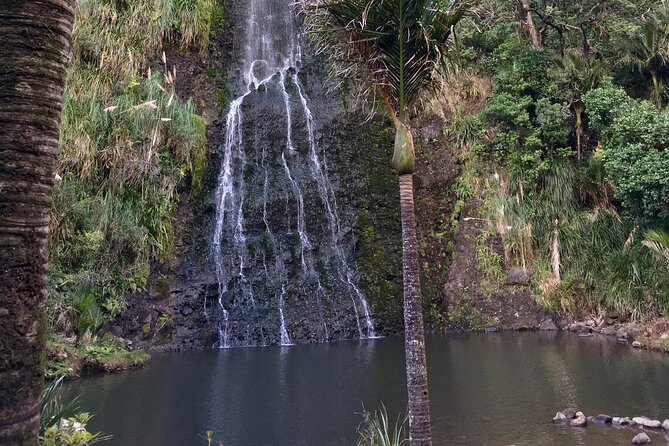 6 Hours Sightseeing Tour in Auckland - How active is the day?