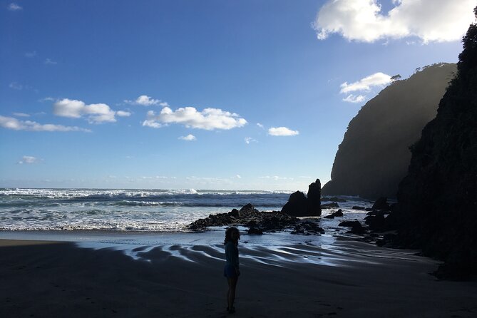 6 Hours Sightseeing Tour in Auckland - Who gets the best value from this tour?