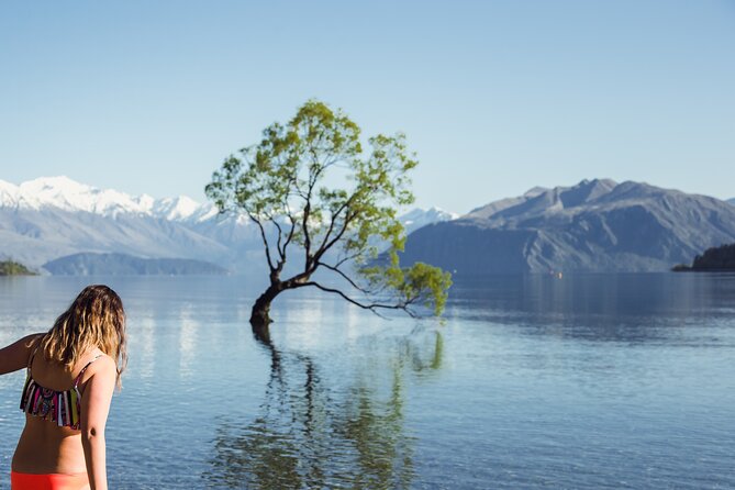 8 Day Southern Secrets Small Group Tour - Why this route works for a short South Island visit