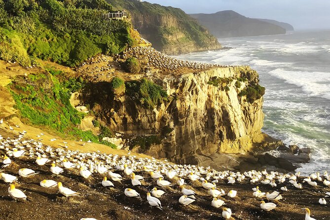 9 Day South to North Island NZ Private Tour from Queenstown - Why this route works for a short New Zealand visit
