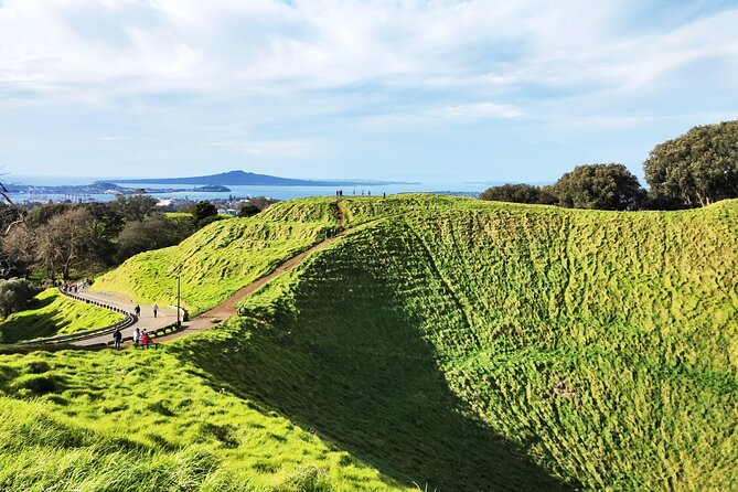 9 Day South to North Island NZ Private Tour from Queenstown - Day 5: Choose Kaikōura whales or Akaroa wildlife