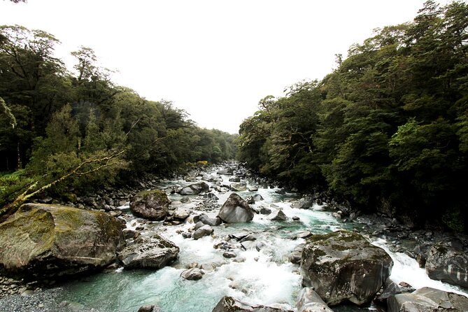 9 Day South to North Island NZ Private Tour from Queenstown - Day 6: Christchurch choices and the flight north