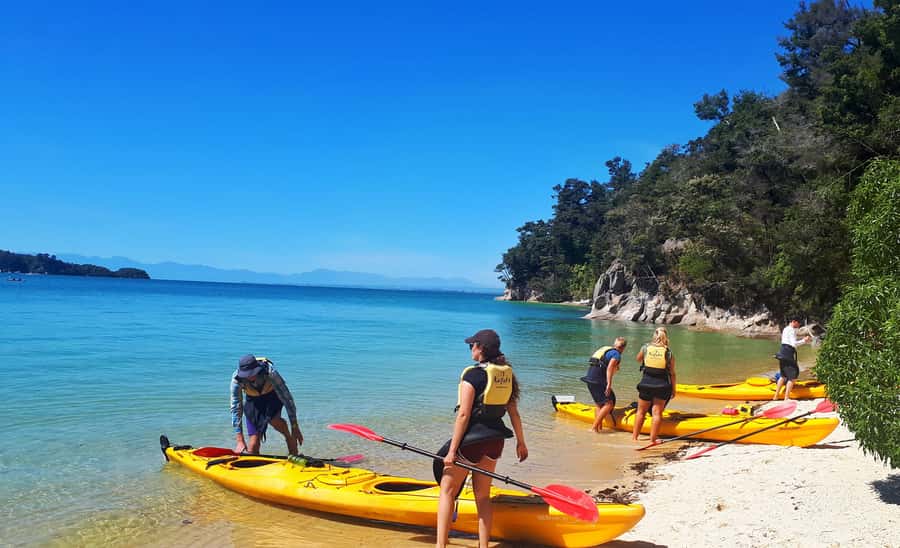 Abel Tasman Kayaks: 1 Day Freedom Kayak Rental - Who should choose this rental?