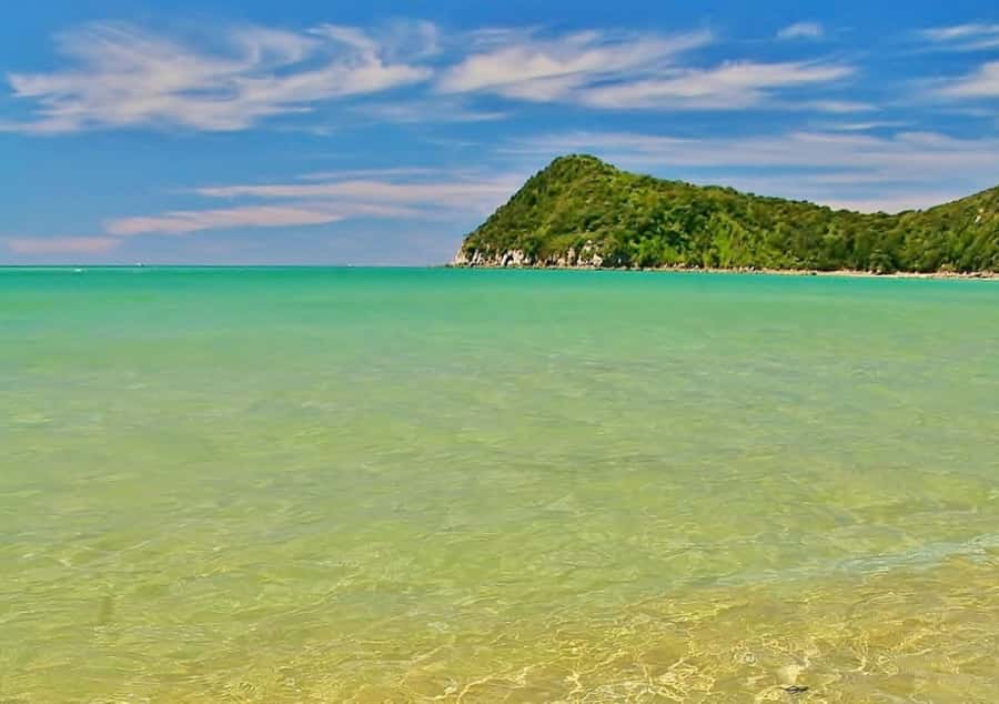 Abel Tasman National Full Park Scenic Cruise - Is $59 good value?