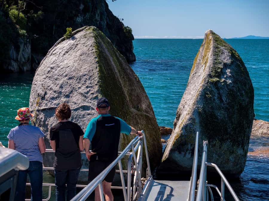 Abel Tasman National Full Park Scenic Cruise - Wildlife watching along the water